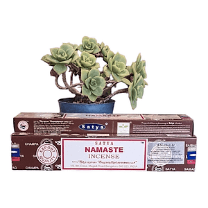 Sahumerios- Linea Satya