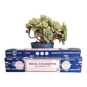 Sahumerios Nag Champa- Satya Sai Baba